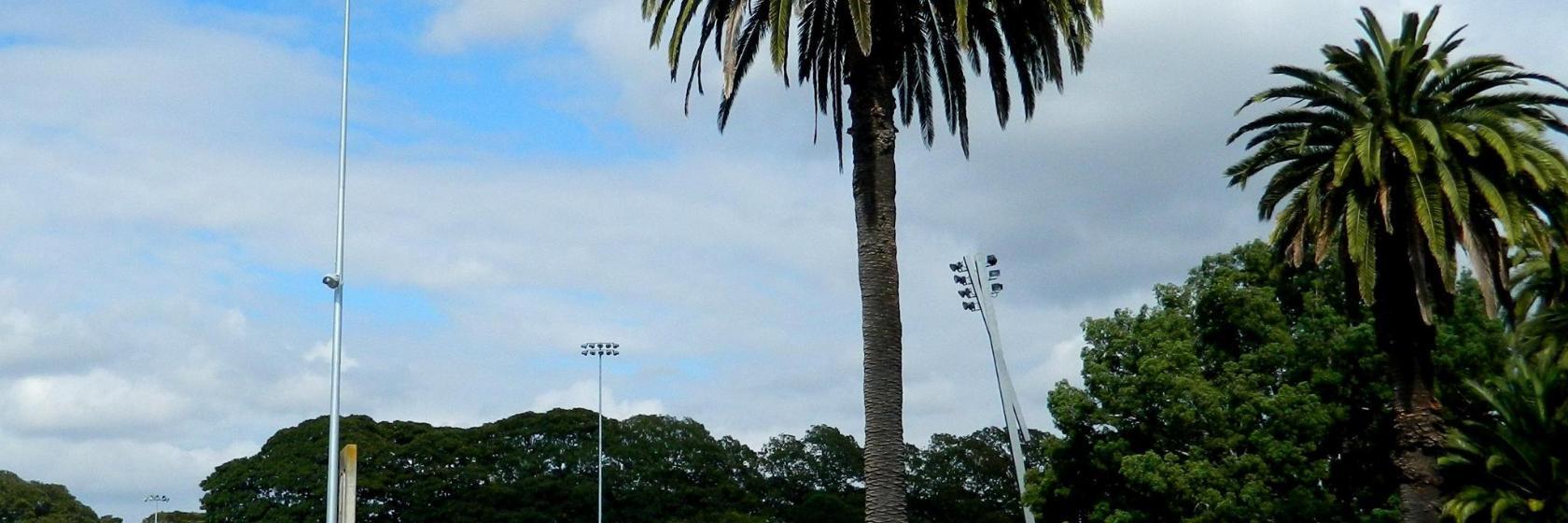 Parque do Centenário